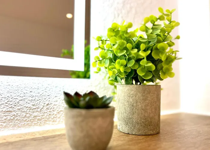 Monusse Boid Mb 14 Apartment *